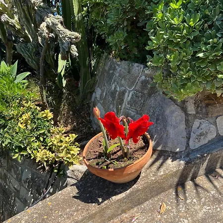 Сasa de vacaciones Panoramic *