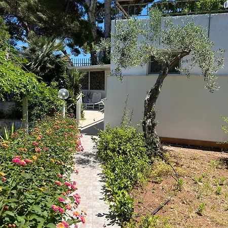 Panoramic Сasa de vacaciones *