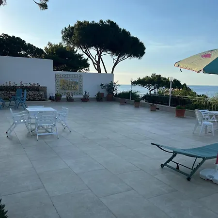Panoramic *