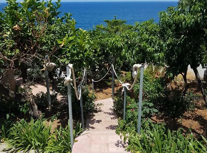 Panoramic 포르티첼로