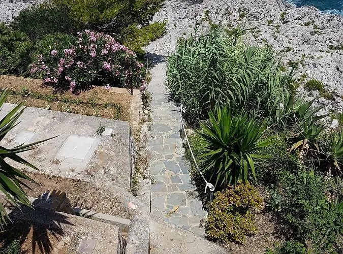 Panoramic 포르티첼로