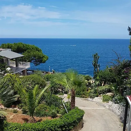 Panoramic *