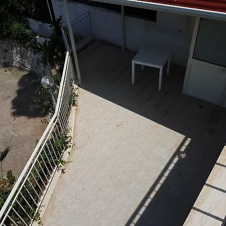 Panoramic *