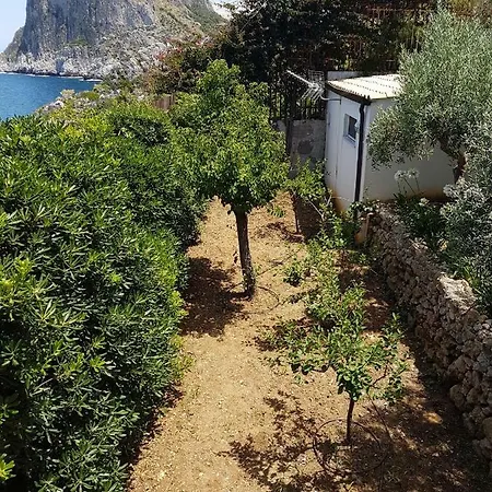 Panoramic