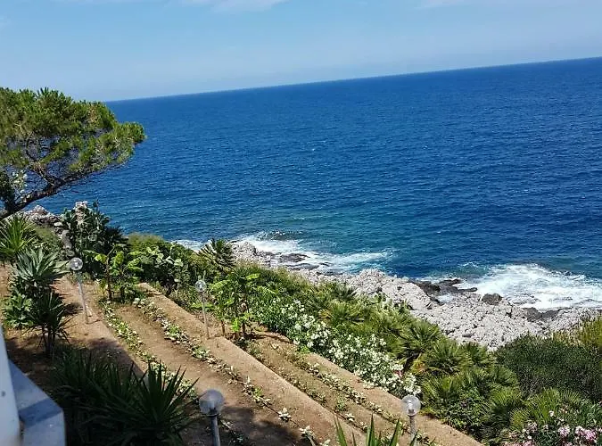 Panoramic 波提切洛